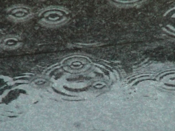 "susan pui san lok", "susan lok", "Notes on Return", "video art", "Hong Kong", "translation"