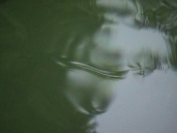 "susan pui san lok", "susan lok", "Notes on Return", "video art", "Hong Kong", "translation"