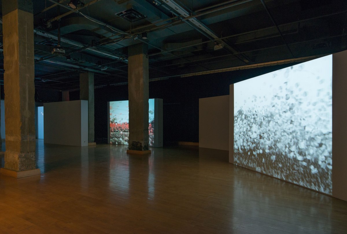 susan pui san lok, Faster, Higher, 2008