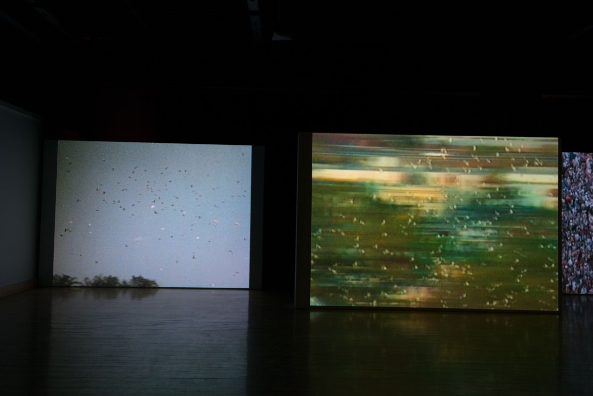 susan pui san lok, Faster, Higher, 2008