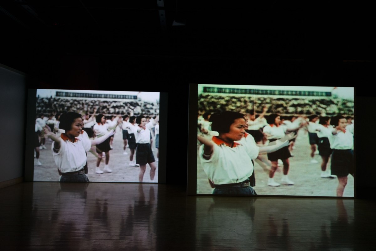 susan pui san lok, Faster, Higher, 2008