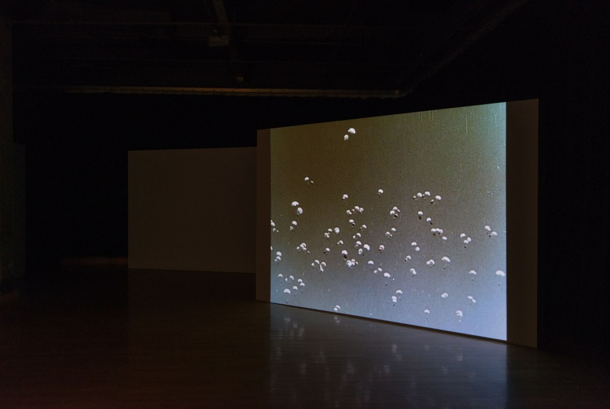 susan pui san lok, Faster, Higher, 2008