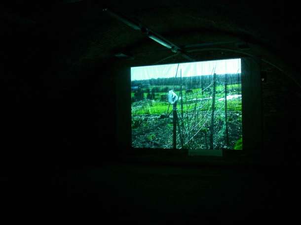 "susan pui san lok", "susan lok", "years", "golden", "chinese arts centre"