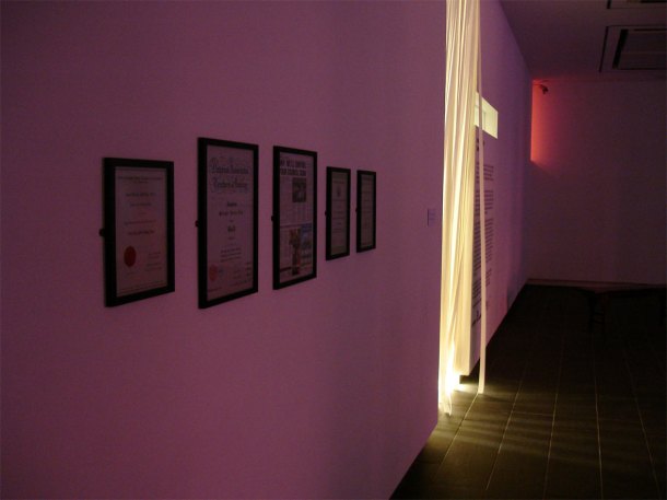 "susan pui san lok", "susan lok", "years", "golden", "chinese arts centre"